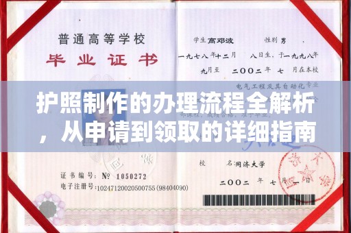 隆子护照制作的办理流程全解析，从申请到领取的详细指南