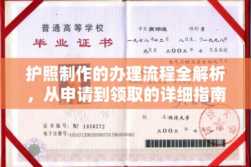 隆子护照制作的办理流程全解析，从申请到领取的详细指南