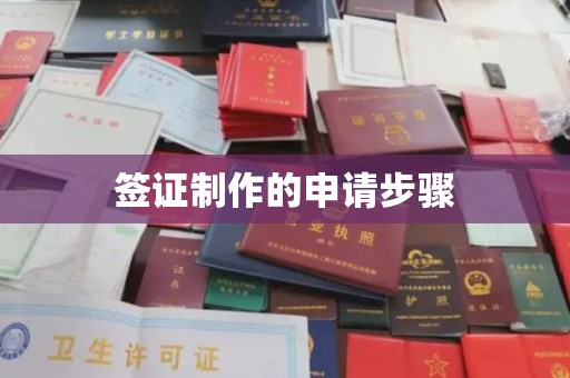 隆子签证制作的申请步骤