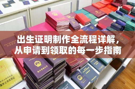 隆子出生证明制作全流程详解，从申请到领取的每一步指南