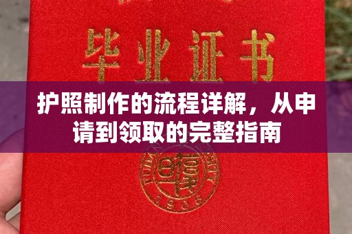 隆子护照制作的流程详解，从申请到领取的完整指南