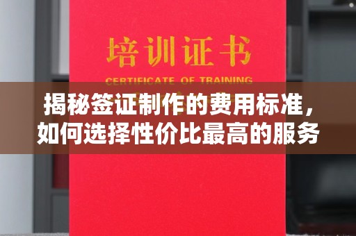 隆子揭秘签证制作的费用标准，如何选择性价比最高的服务？