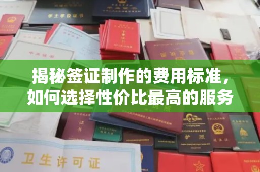 隆子揭秘签证制作的费用标准，如何选择性价比最高的服务？