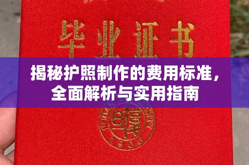 隆子揭秘护照制作的费用标准，全面解析与实用指南