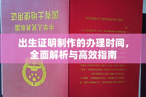 隆子出生证明制作的办理时间，全面解析与高效指南