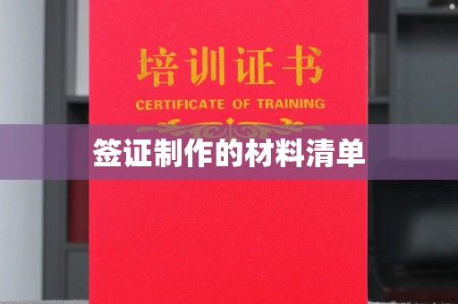 隆子签证制作的材料清单