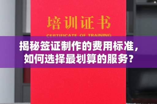 隆子揭秘签证制作的费用标准，如何选择最划算的服务？