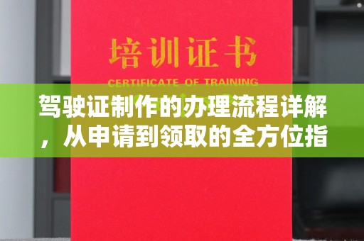 隆子驾驶证制作的办理流程详解，从申请到领取的全方位指南