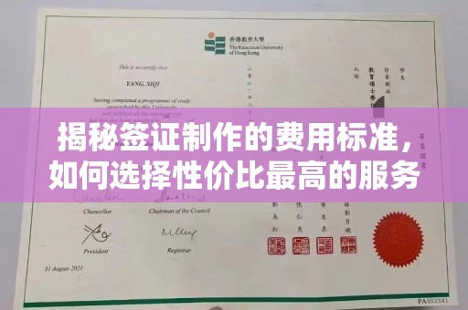 隆子揭秘签证制作的费用标准，如何选择性价比最高的服务？