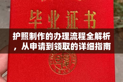 隆子护照制作的办理流程全解析，从申请到领取的详细指南