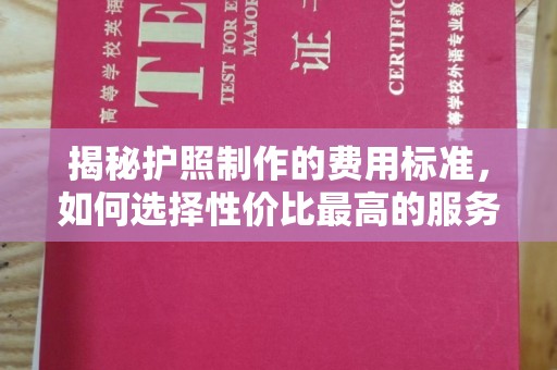隆子揭秘护照制作的费用标准，如何选择性价比最高的服务？