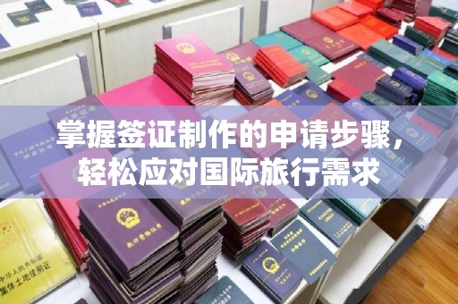隆子掌握签证制作的申请步骤，轻松应对国际旅行需求