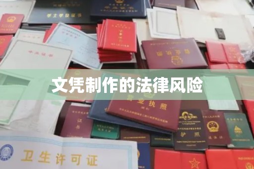 隆子文凭制作的法律风险