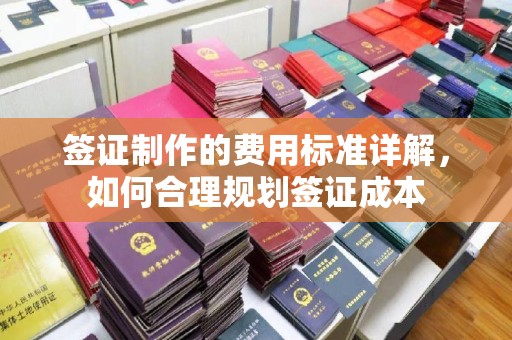 隆子签证制作的费用标准详解，如何合理规划签证成本