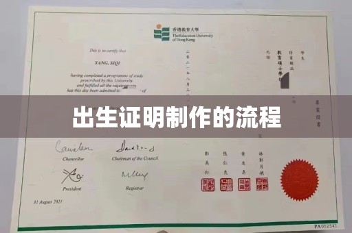 隆子出生证明制作的流程